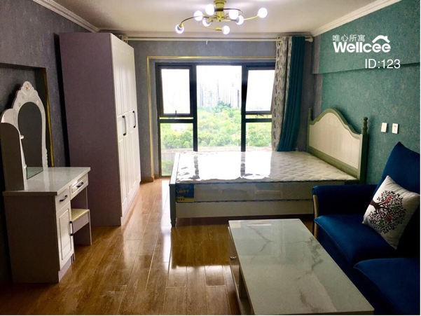 Chengdu Gaoxin Single Apartment Sublet Seeking Flatmate Long Term Short