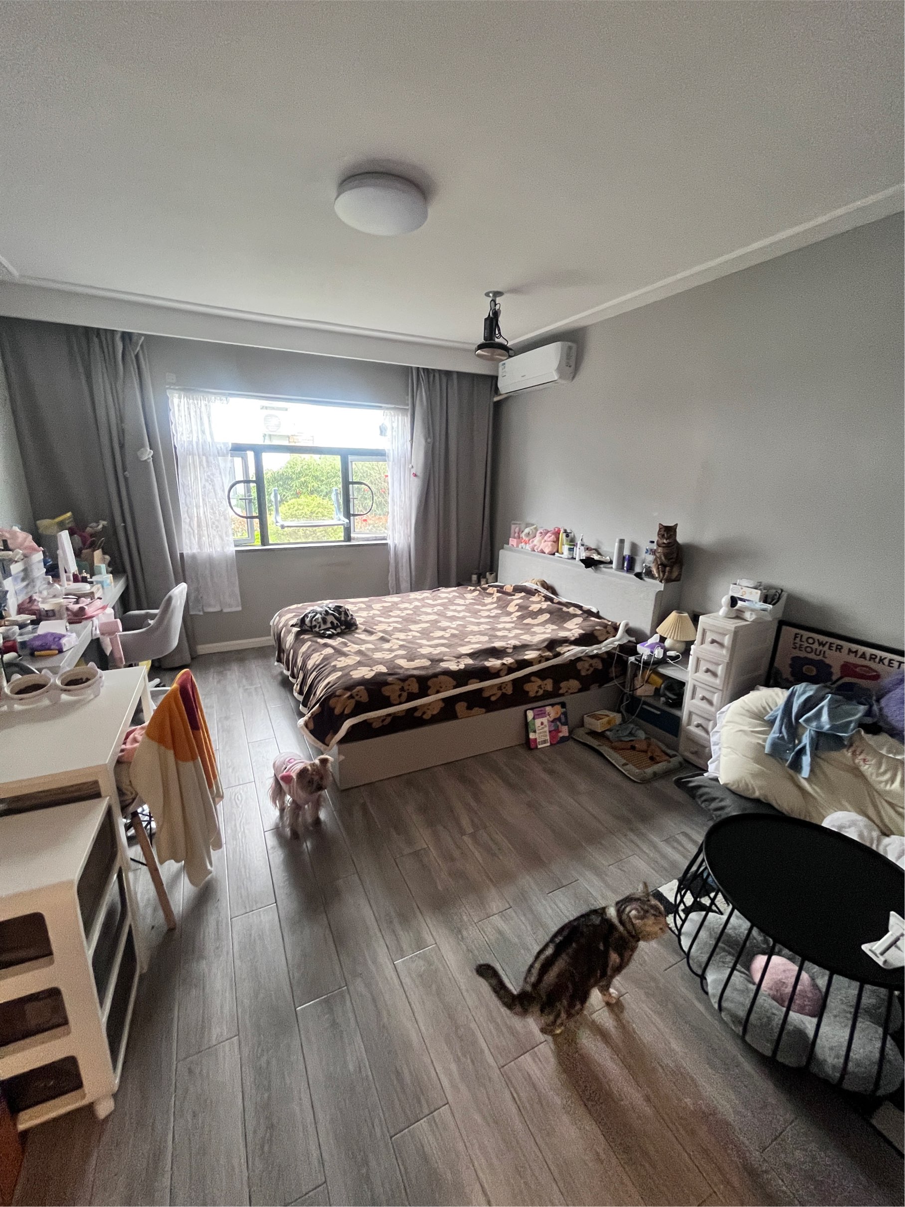 Shanghai Xuhui Single Apartment Sublet Long Short Term Lgbtq Friendly