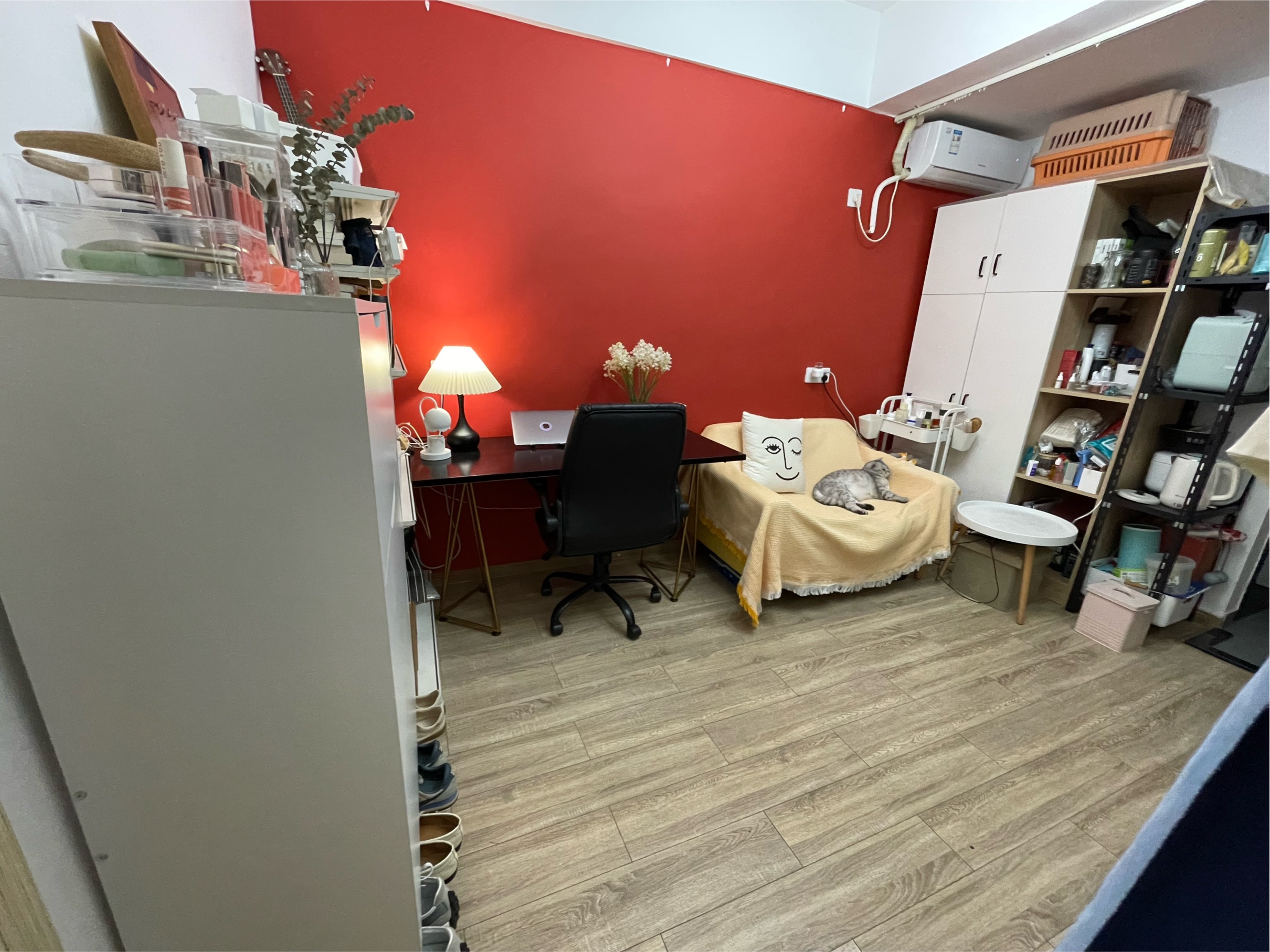Shenzhen-BaoAn-可住国际友人,Pet Friendly,LGBTQ Friendly,Cozy Home,Clean&Comfy,No Gender Limit,Hustle & Bustle,“Friends”,Chilled