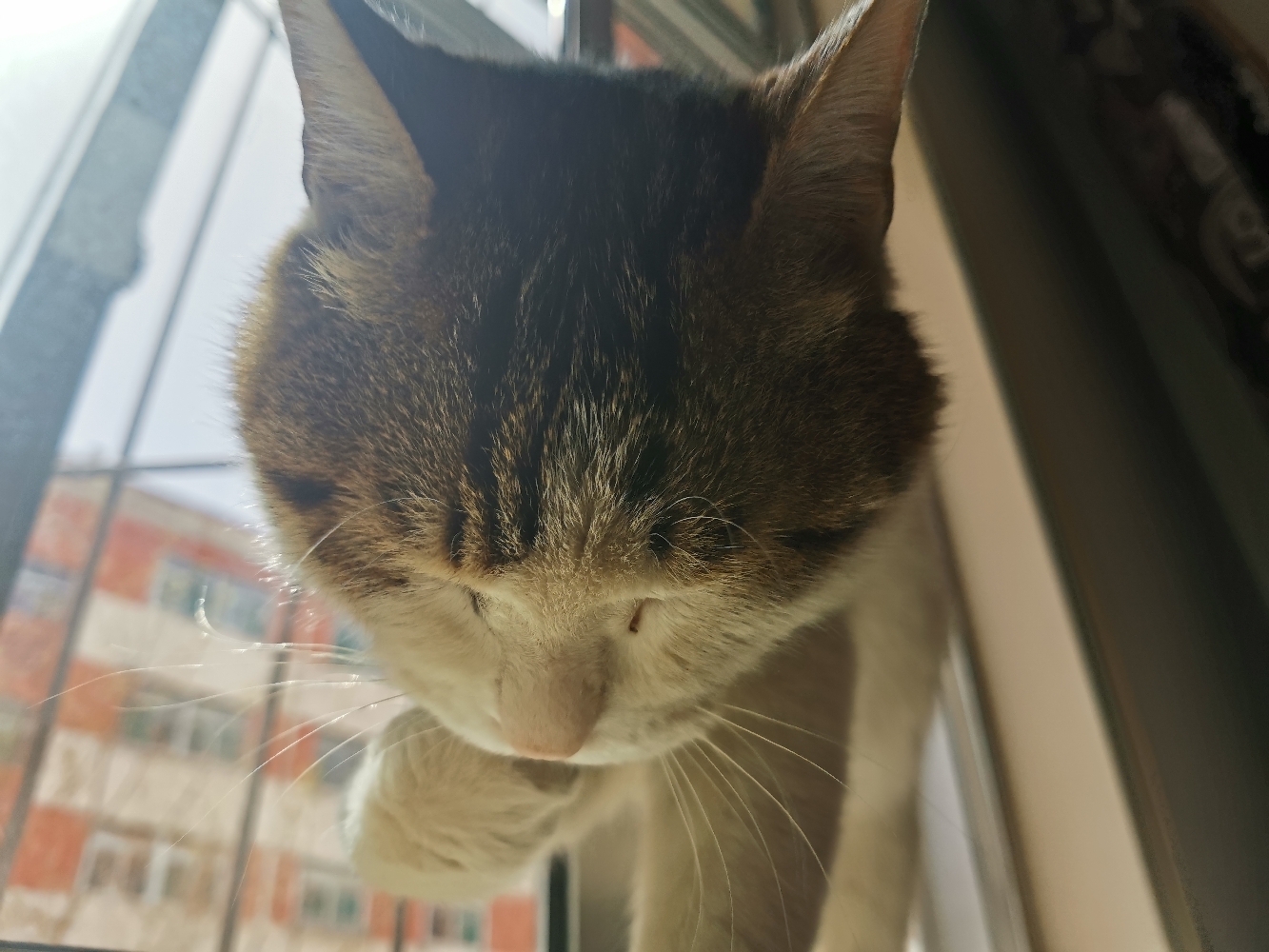 勒以李