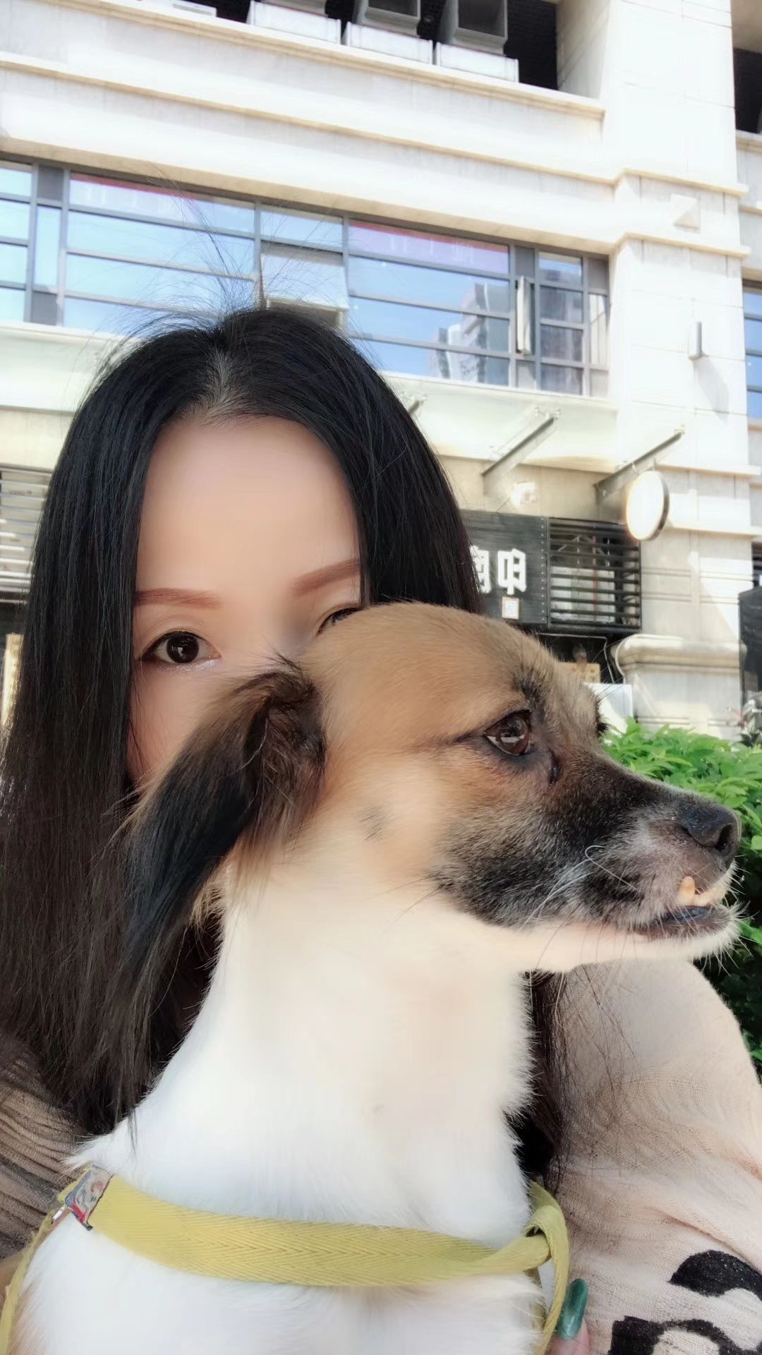coco.汝真