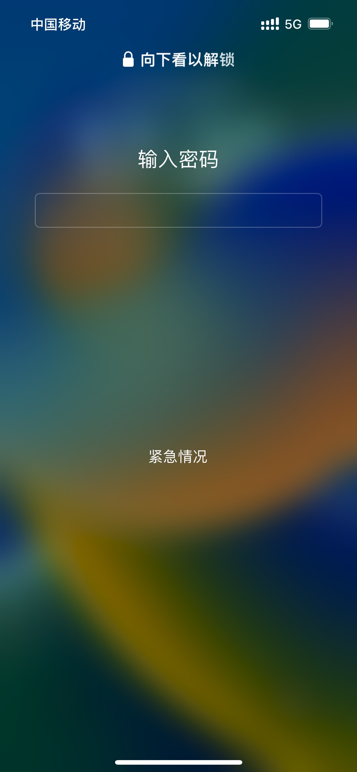 管张蕾