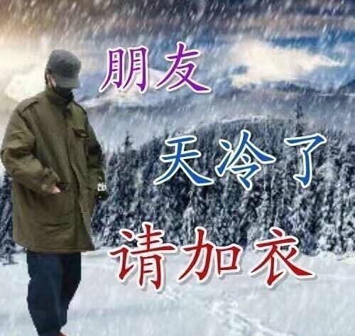 齐万紫