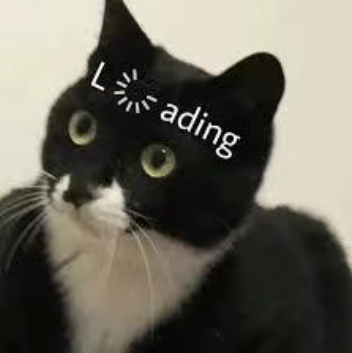 kk