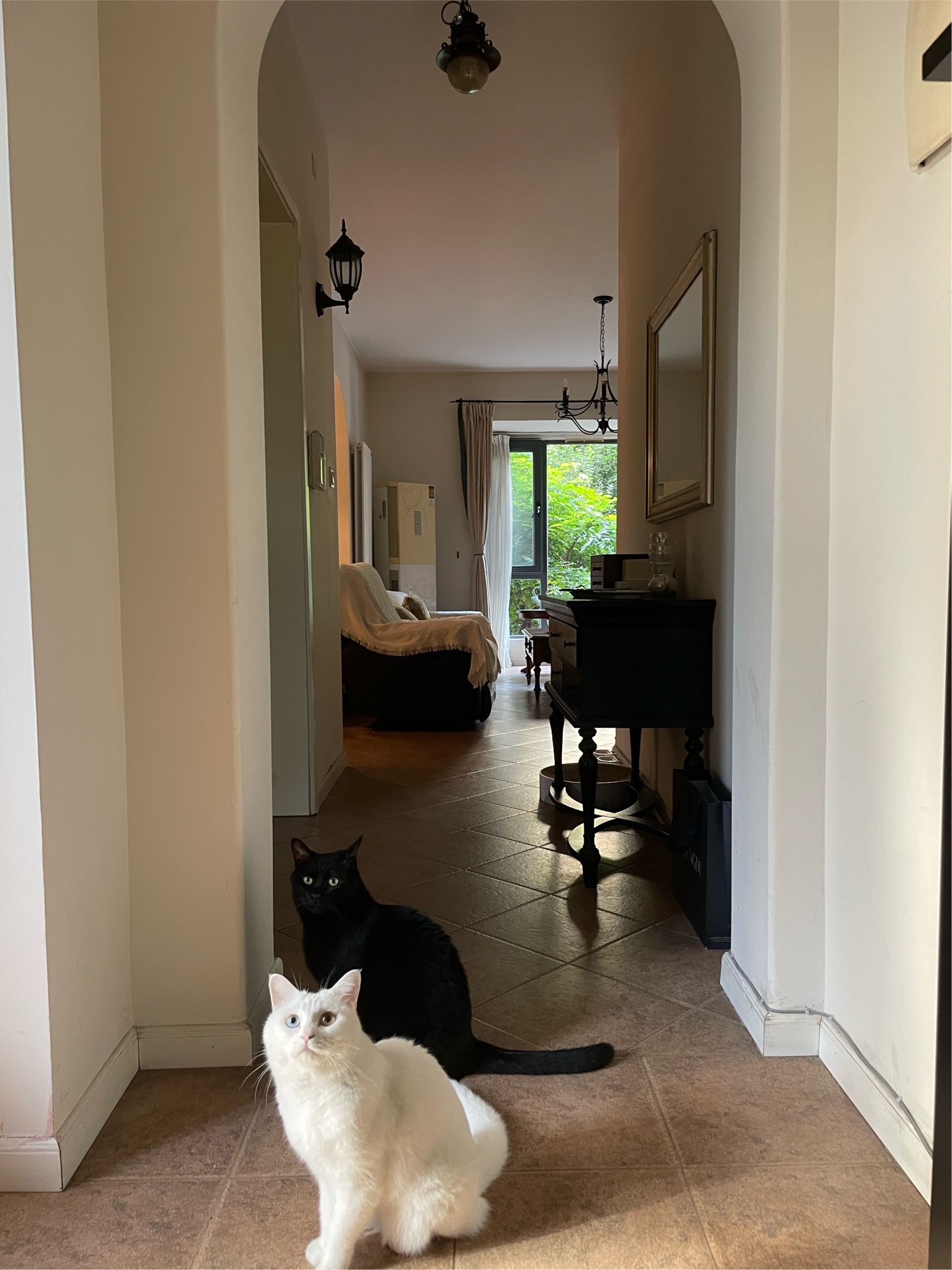 ChengduWuhouShort TermPet Friendly