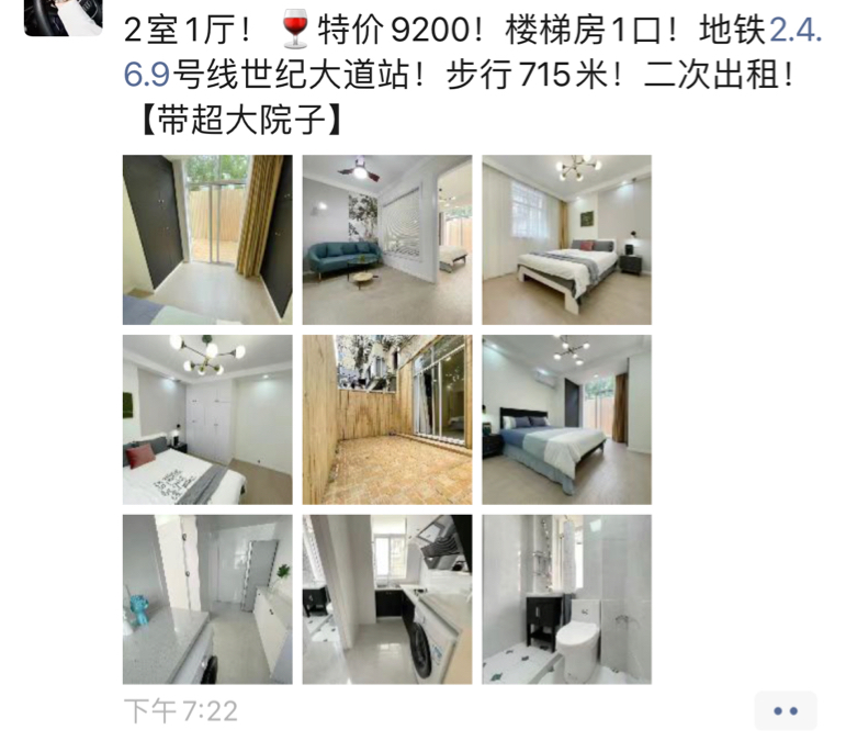 寻找完美舍友 世纪大道附近 有两只猫