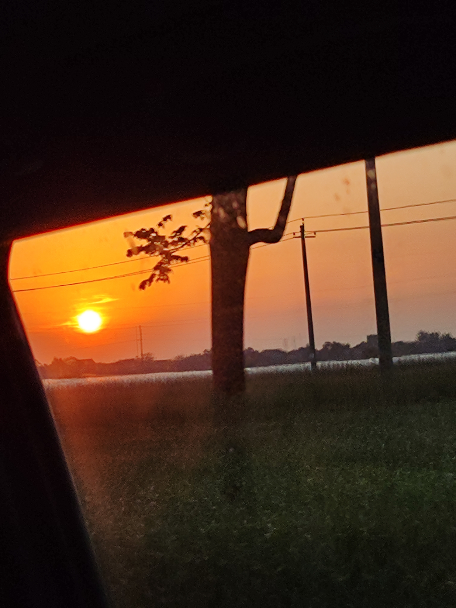 立法