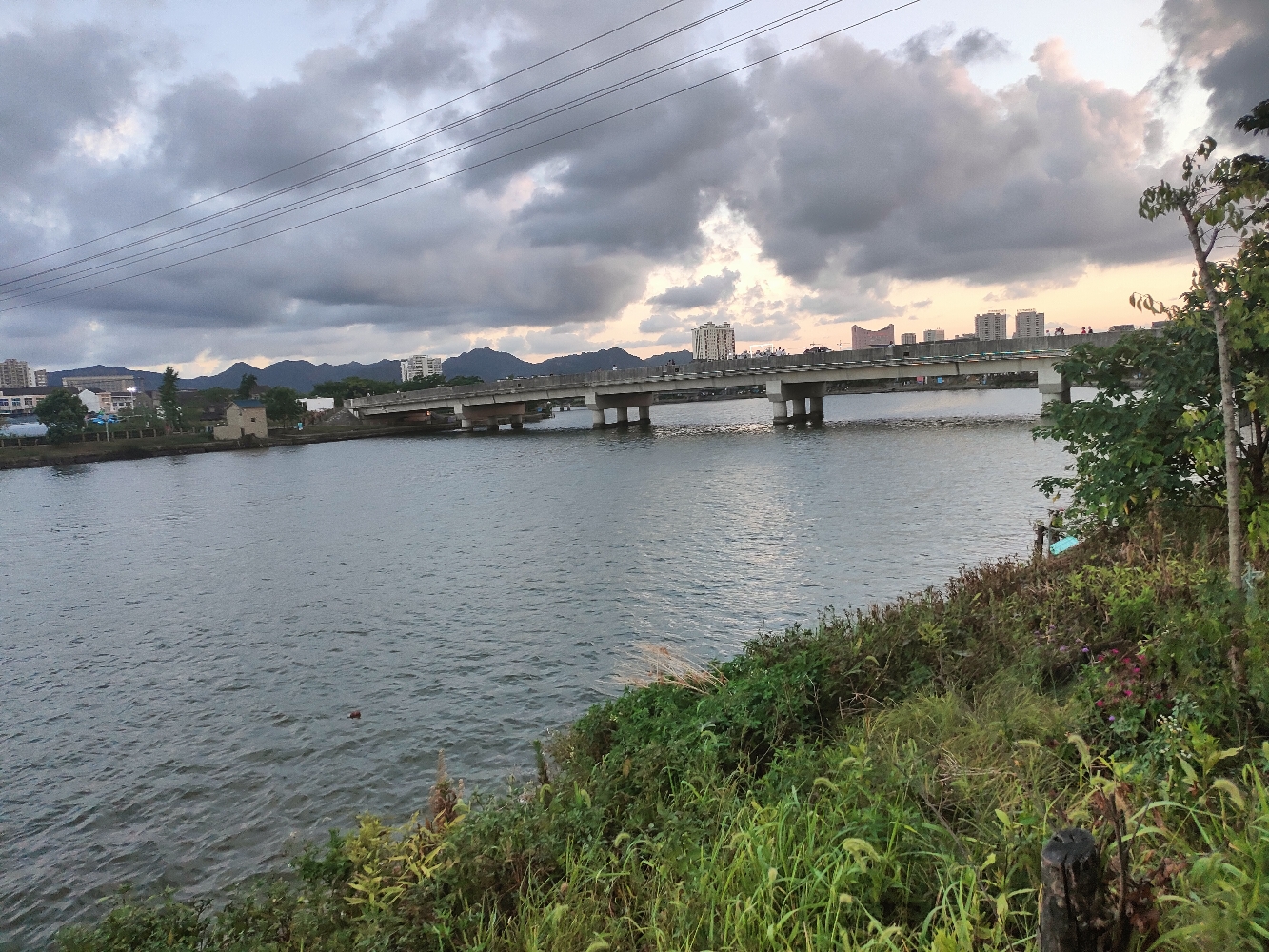 施先生