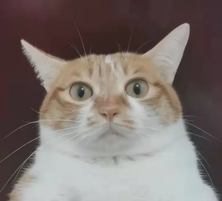安