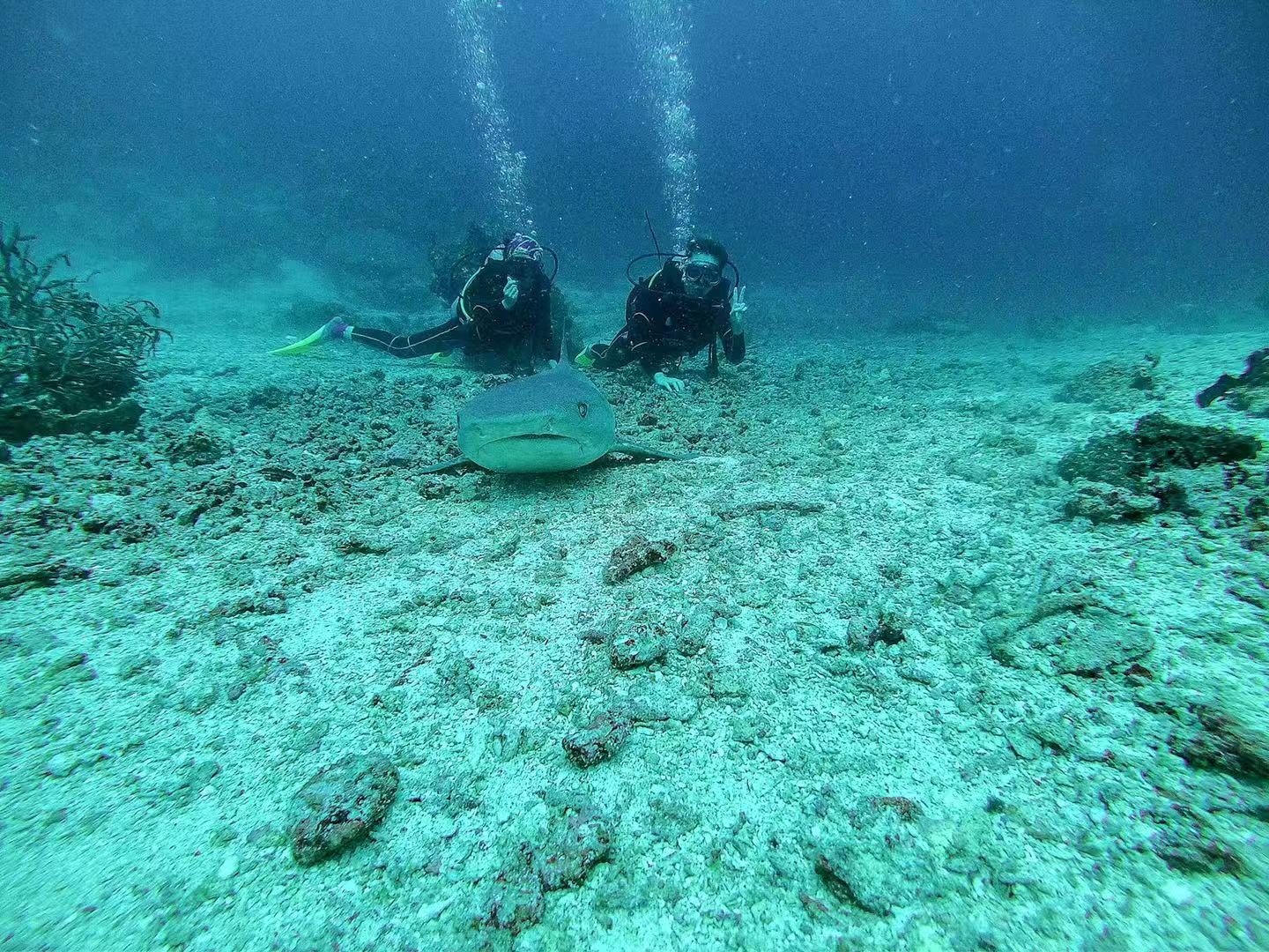 diving.....chk！