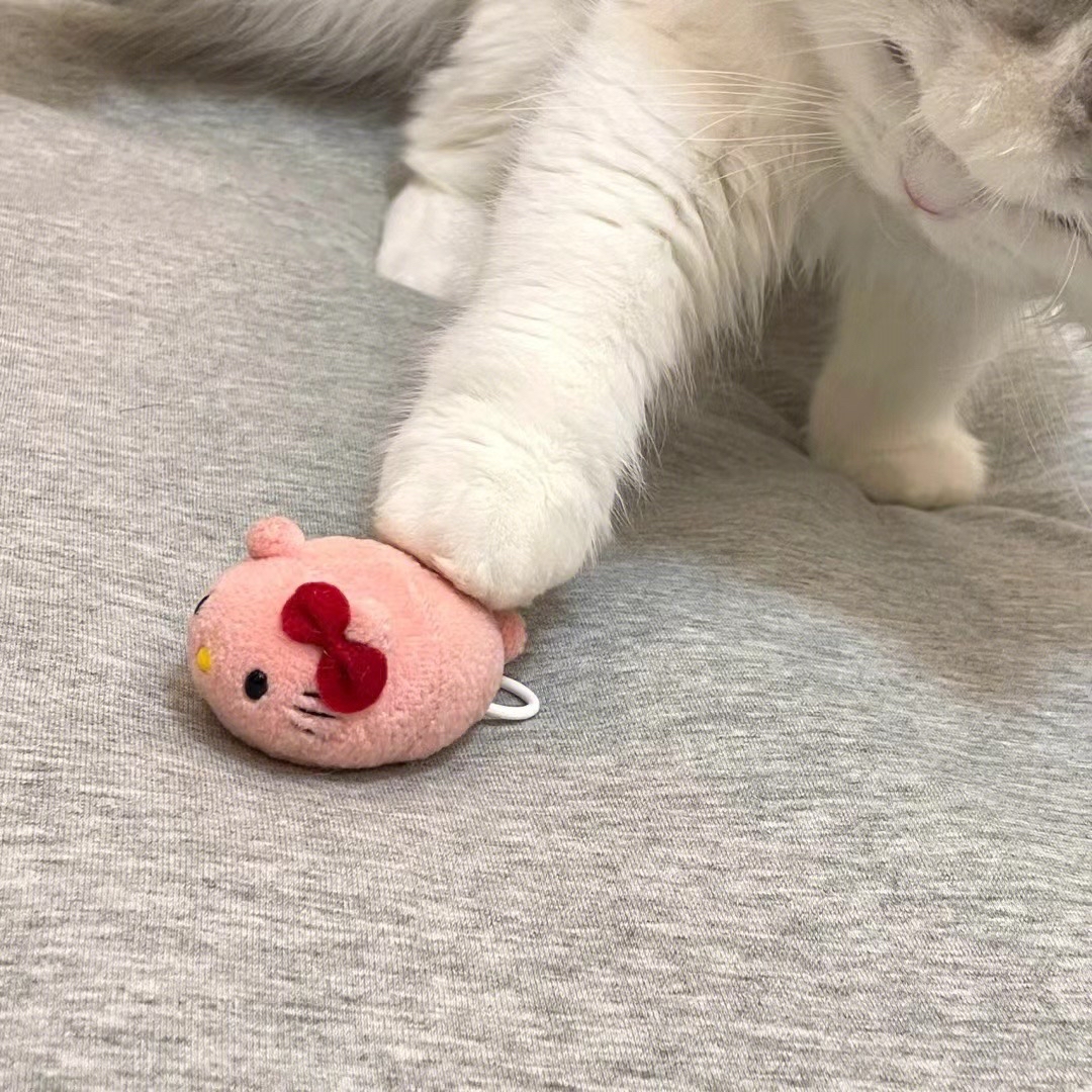 胡晓琪
