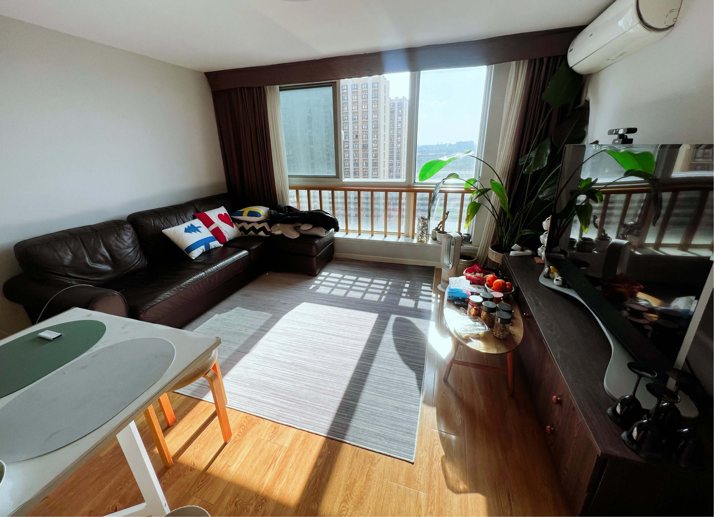 上海-閔行-溫馨小窩,乾淨治愈,不限性別,寵物友好