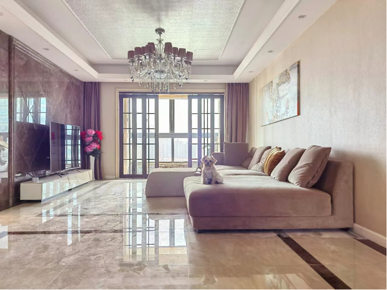 Shanghai-Xuhui-Cozy Home,Clean&Comfy,No Gender Limit,Chilled,LGBTQ Friendly,Pet Friendly