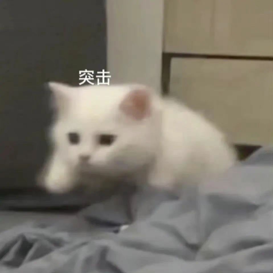 邓赛军