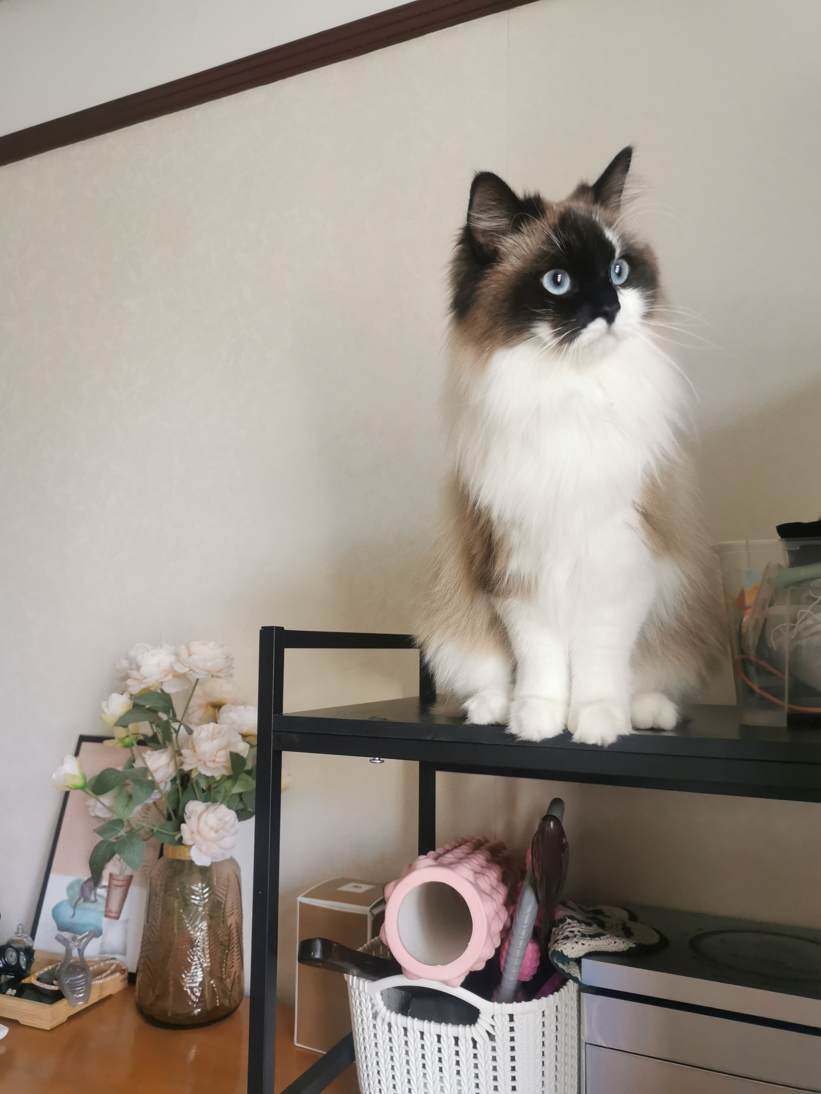 李