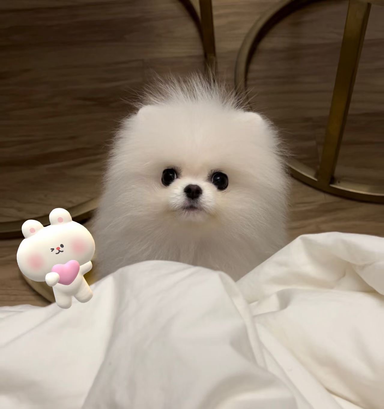 王王王