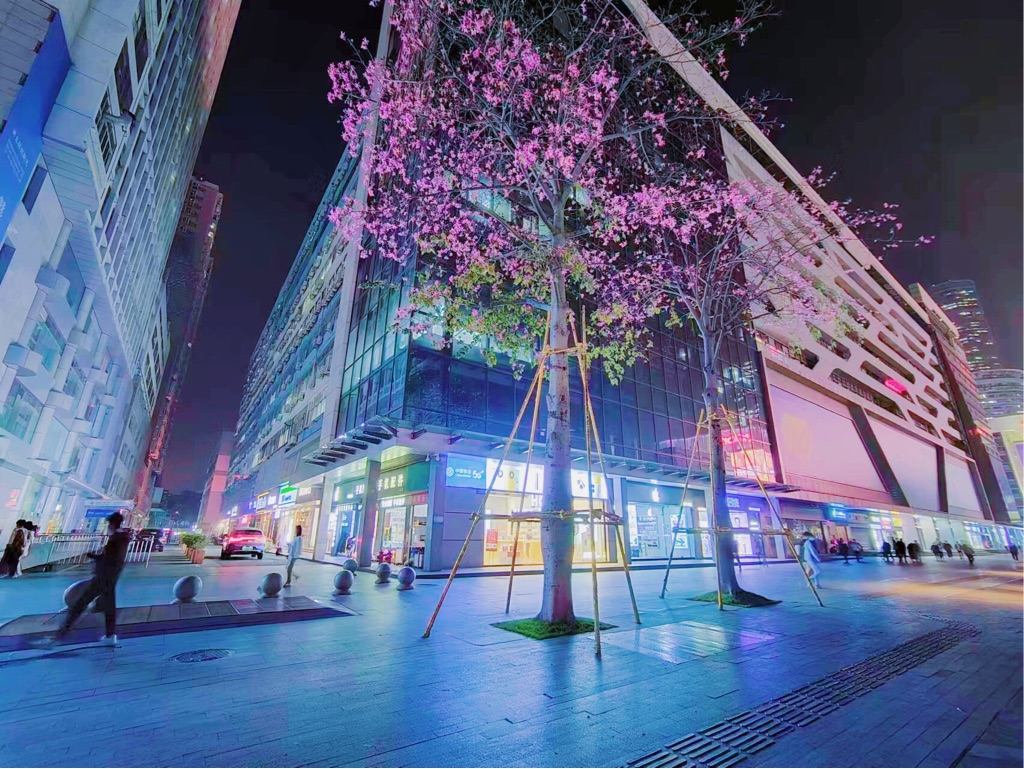 ShenzhenFutianShared ApartmentSeeking FlatmateLong & Short Term