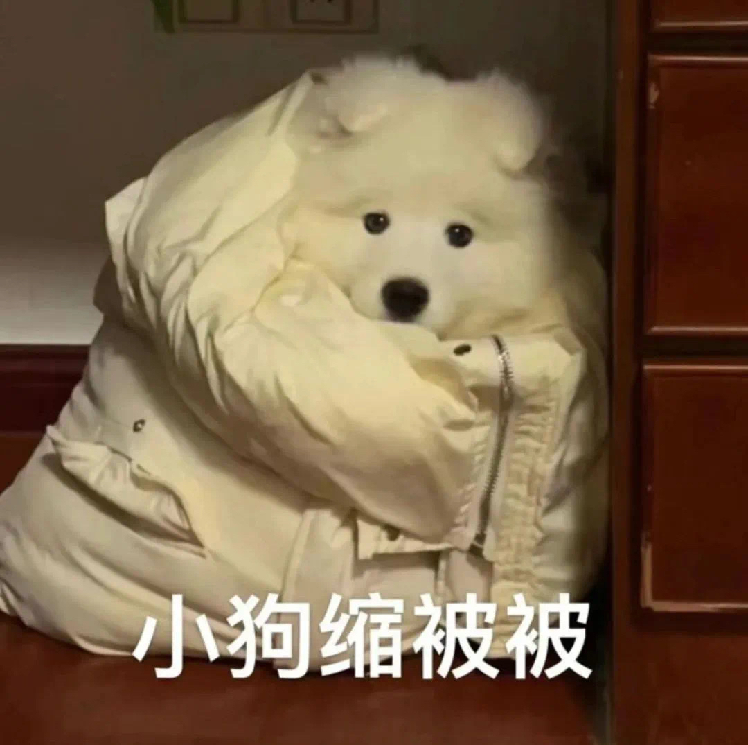 奇怪的盒仔