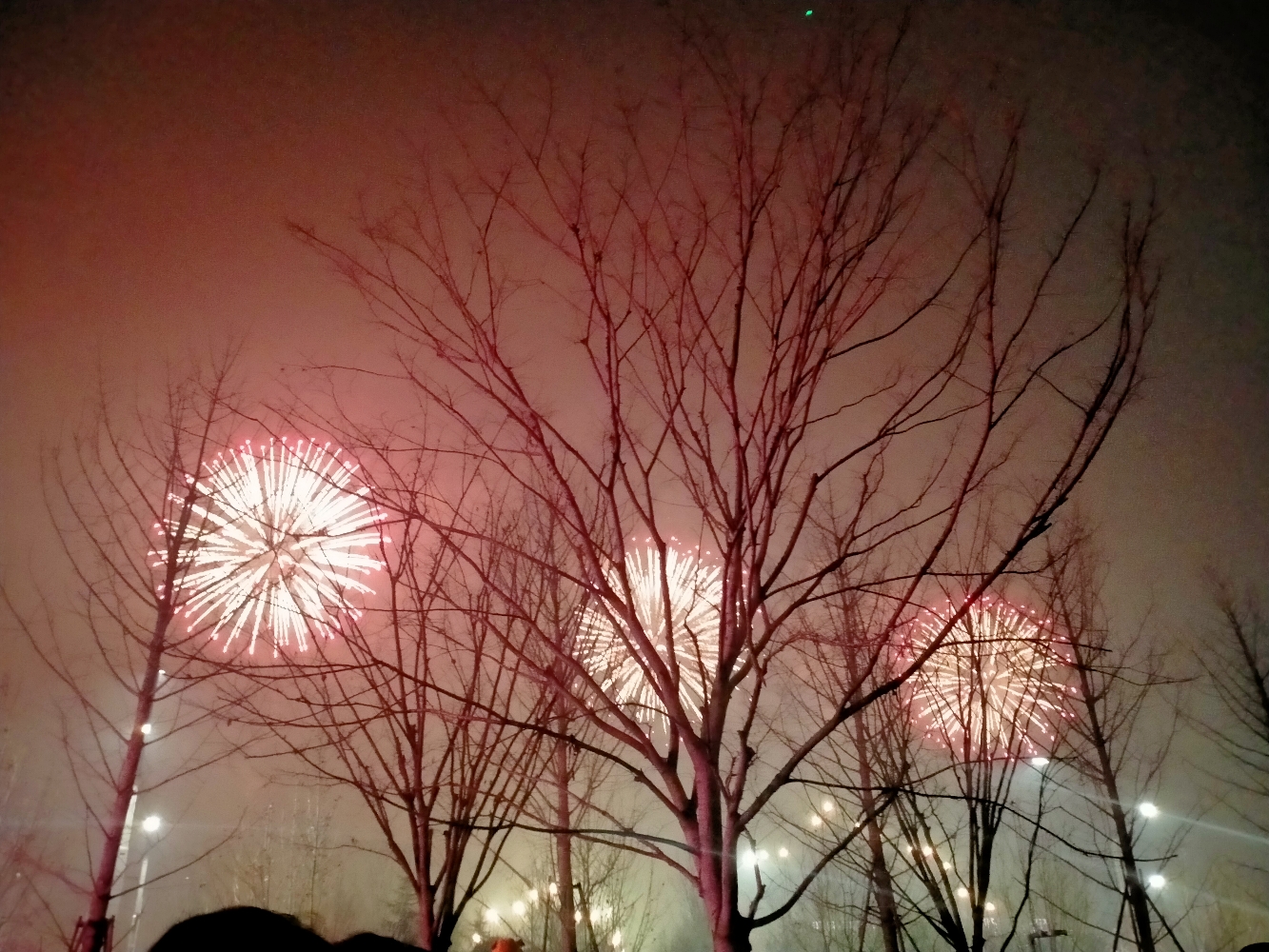 life_photo_0