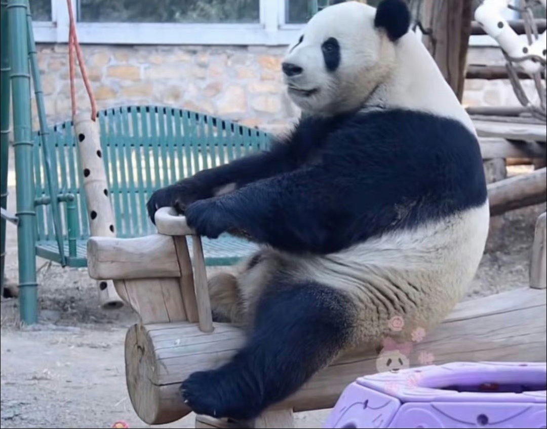 萌萌