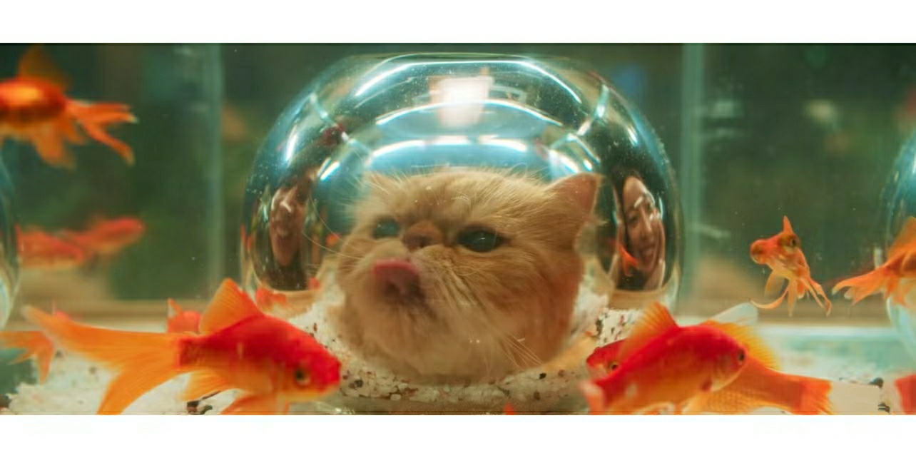 筱雯雯