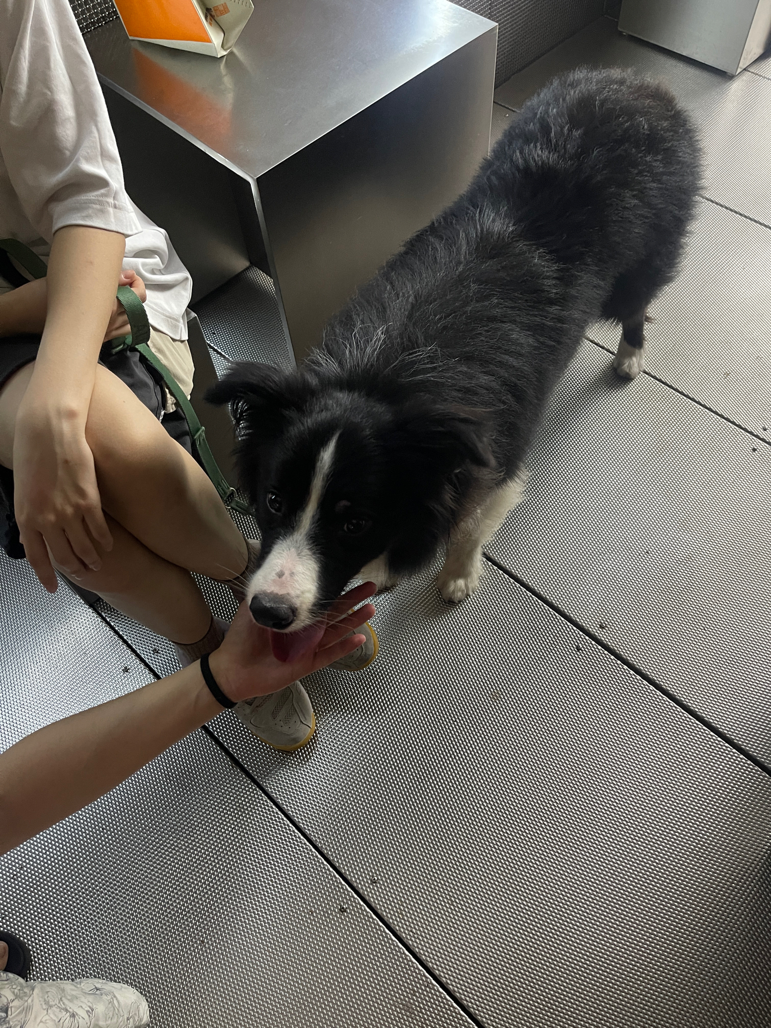 南京西路附近找室友