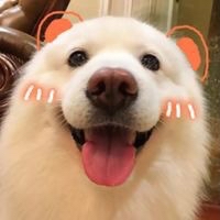 石头
