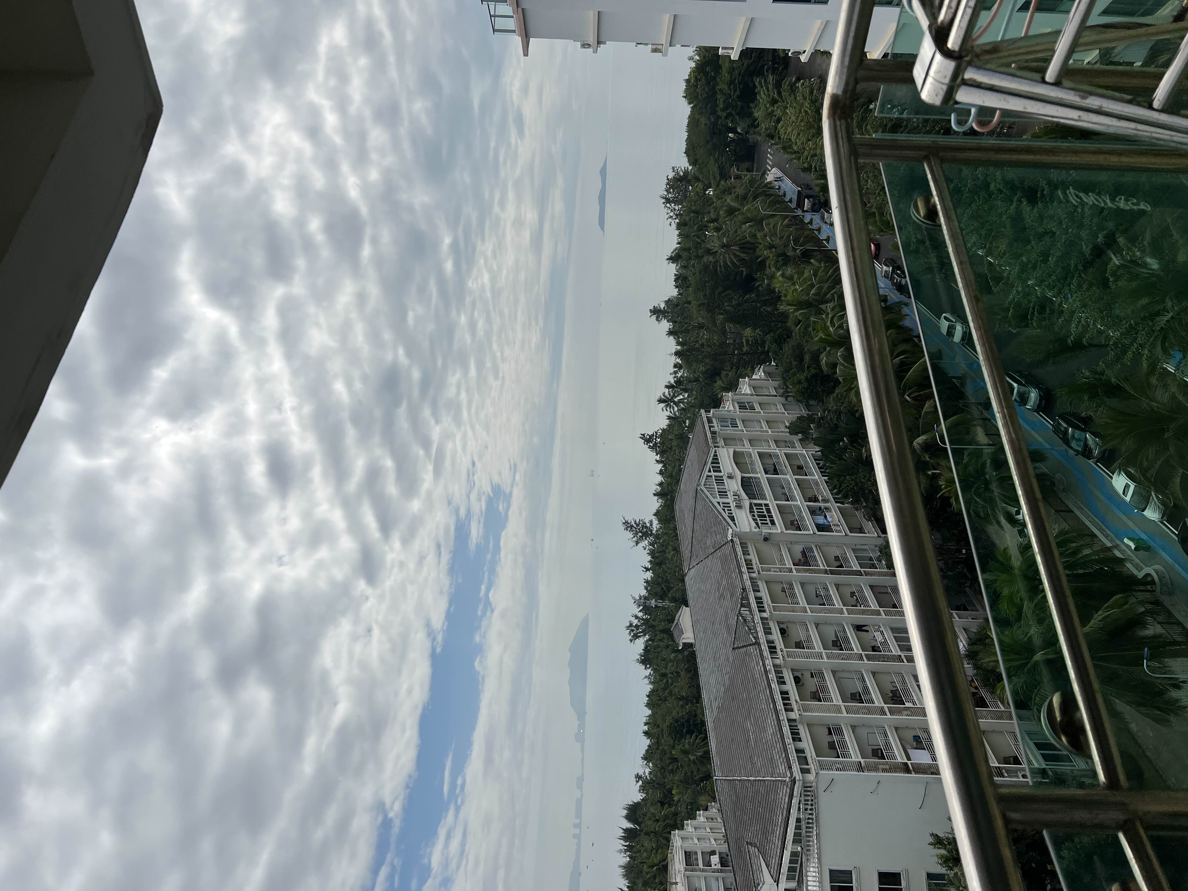 癫疯人士