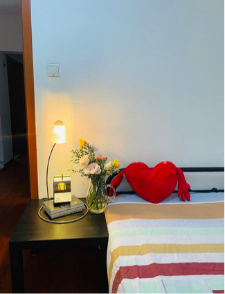 Beijing-Chaoyang-Cozy Home,Clean&Comfy,No Gender Limit,Pet Friendly