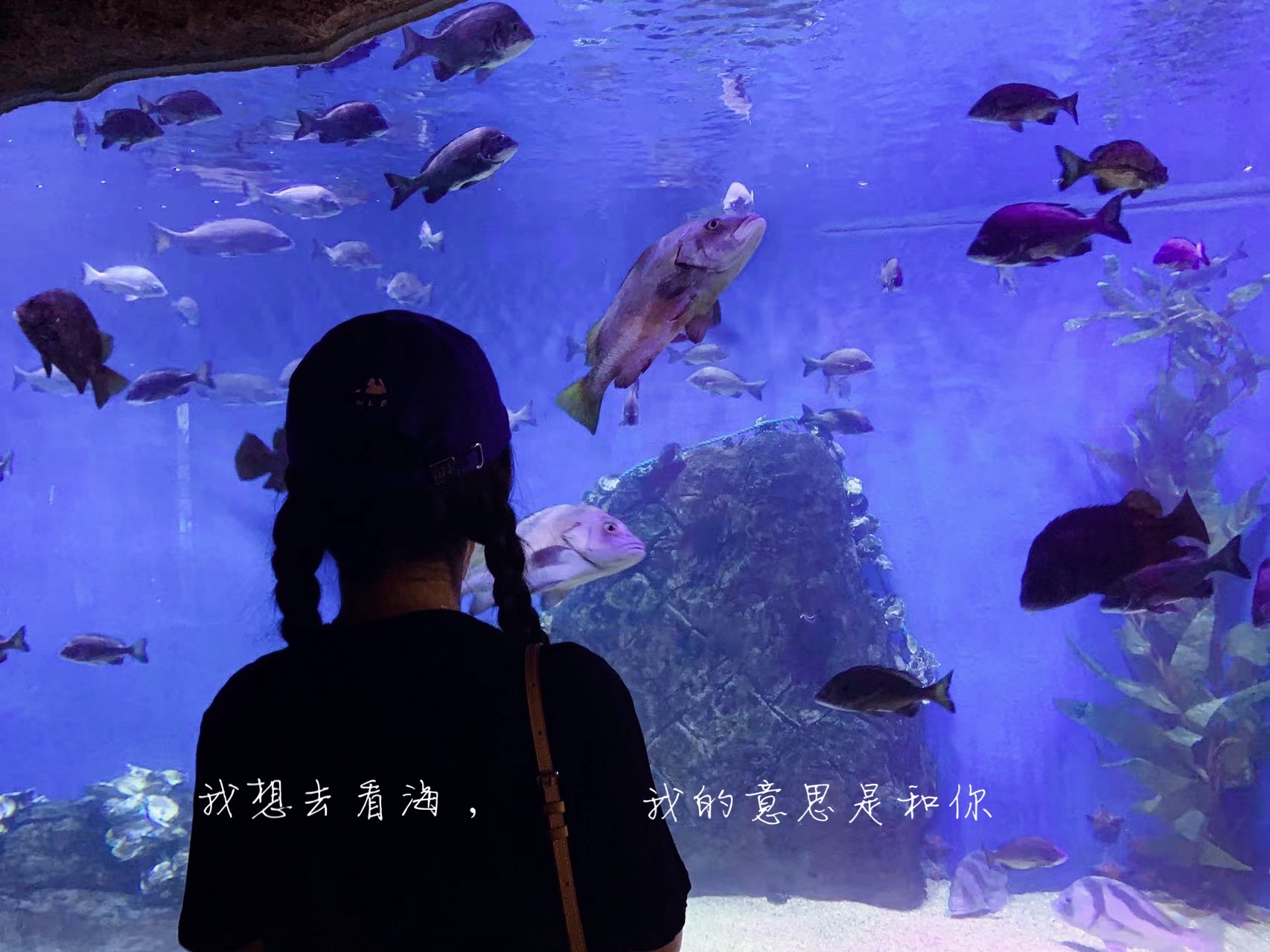 唔西迪西