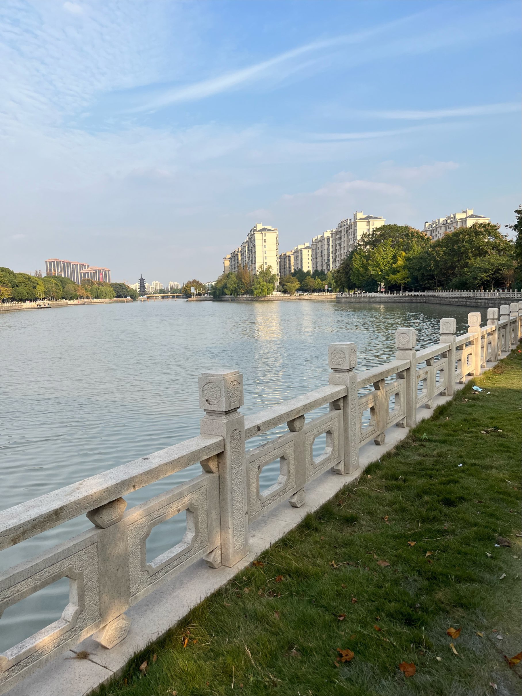 上海-松江-溫馨小窩,乾淨治愈,不限性別,寵物友好