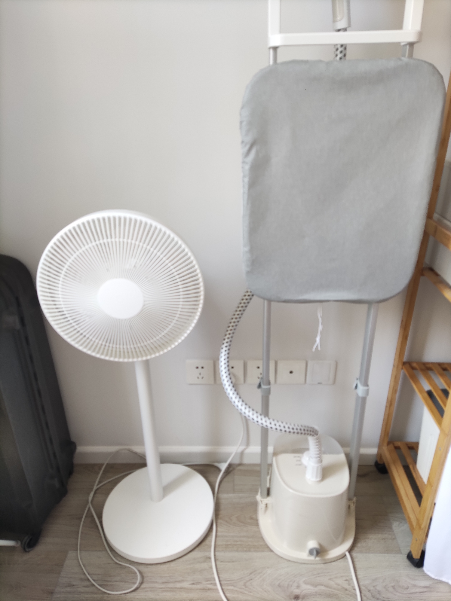 Fan 50 RMB / steamer 50 RMB _0