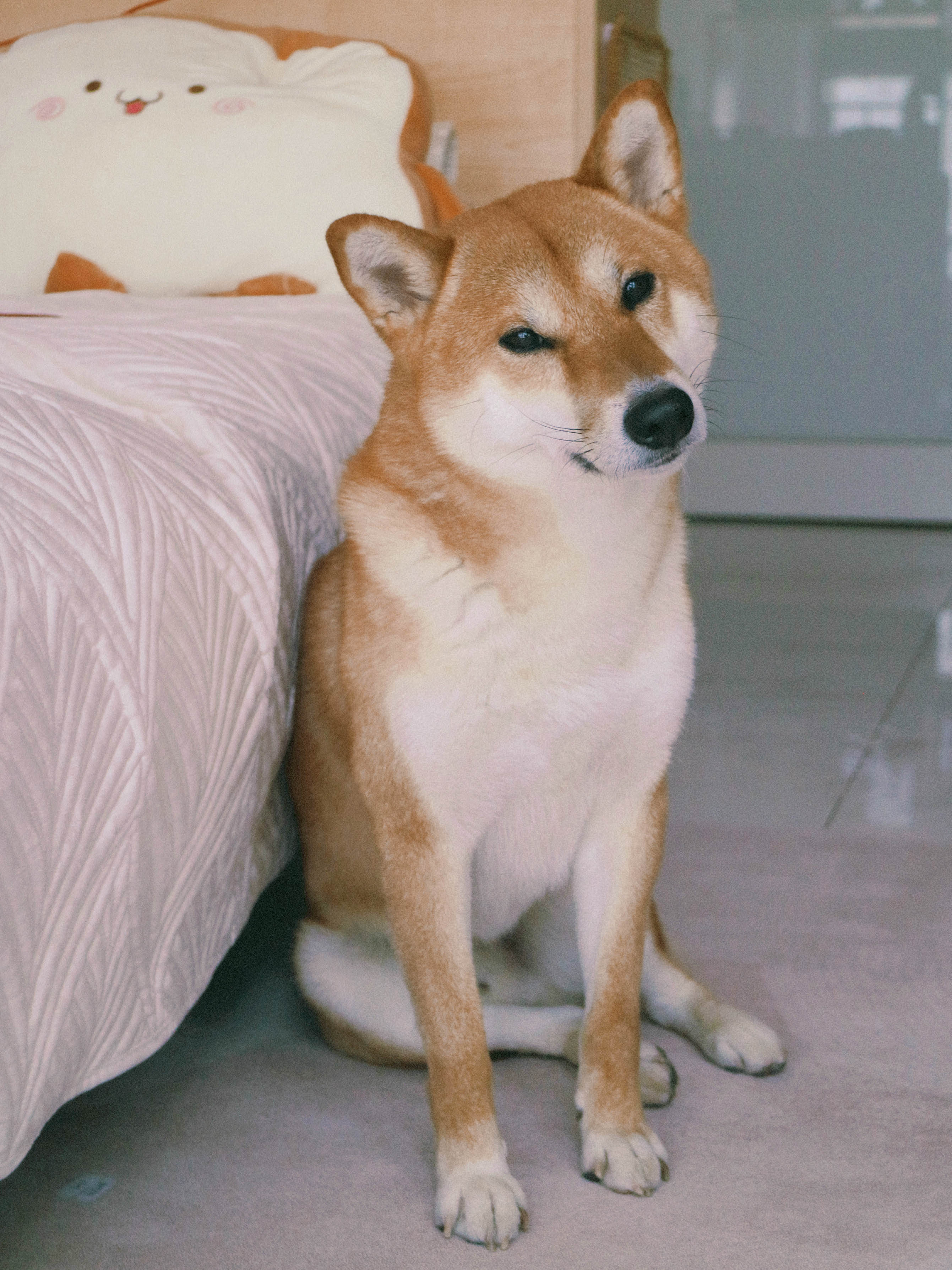 凡凡凡