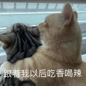 落yeer