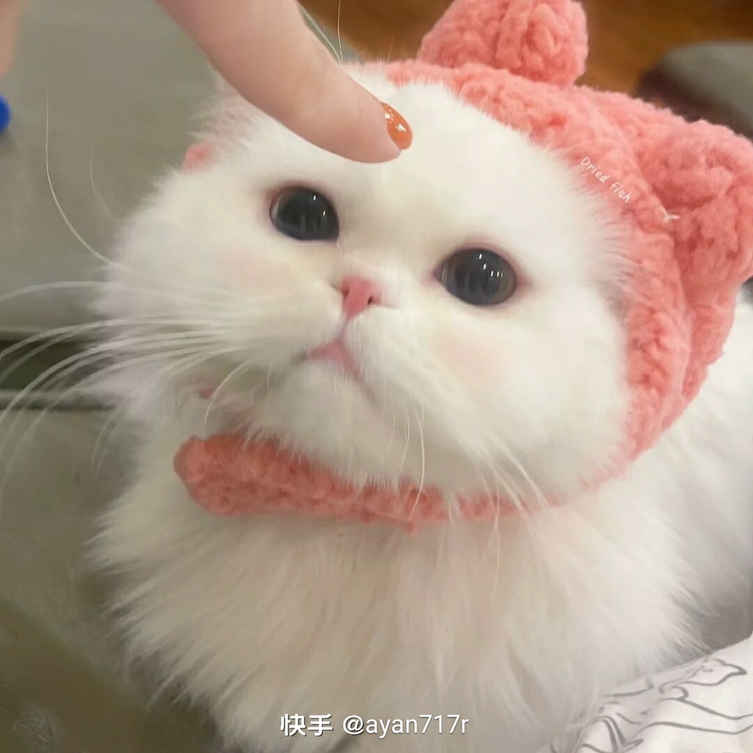 牟