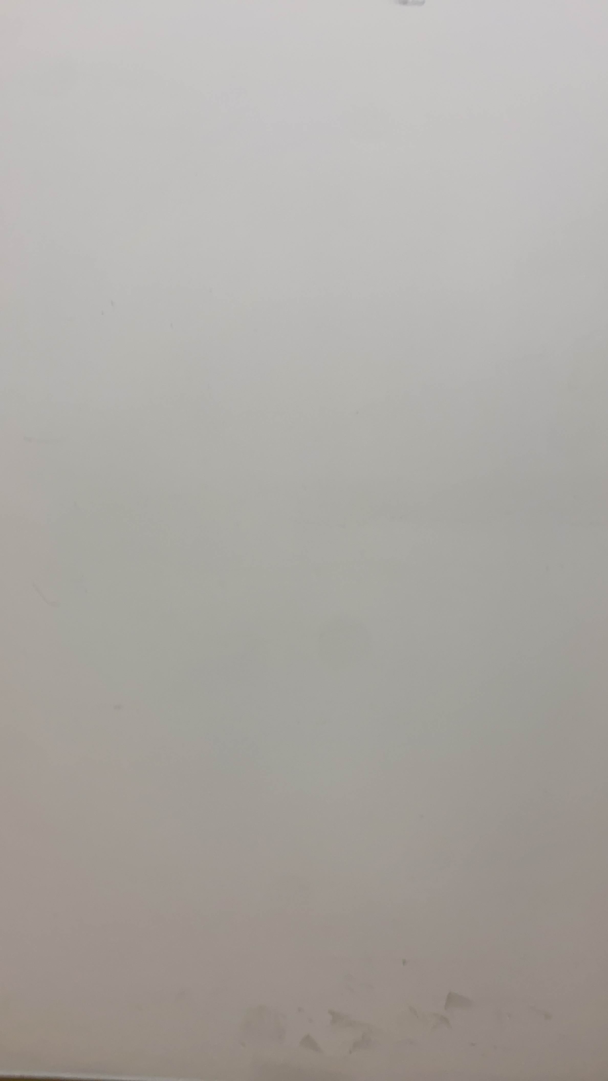 小鱼张张