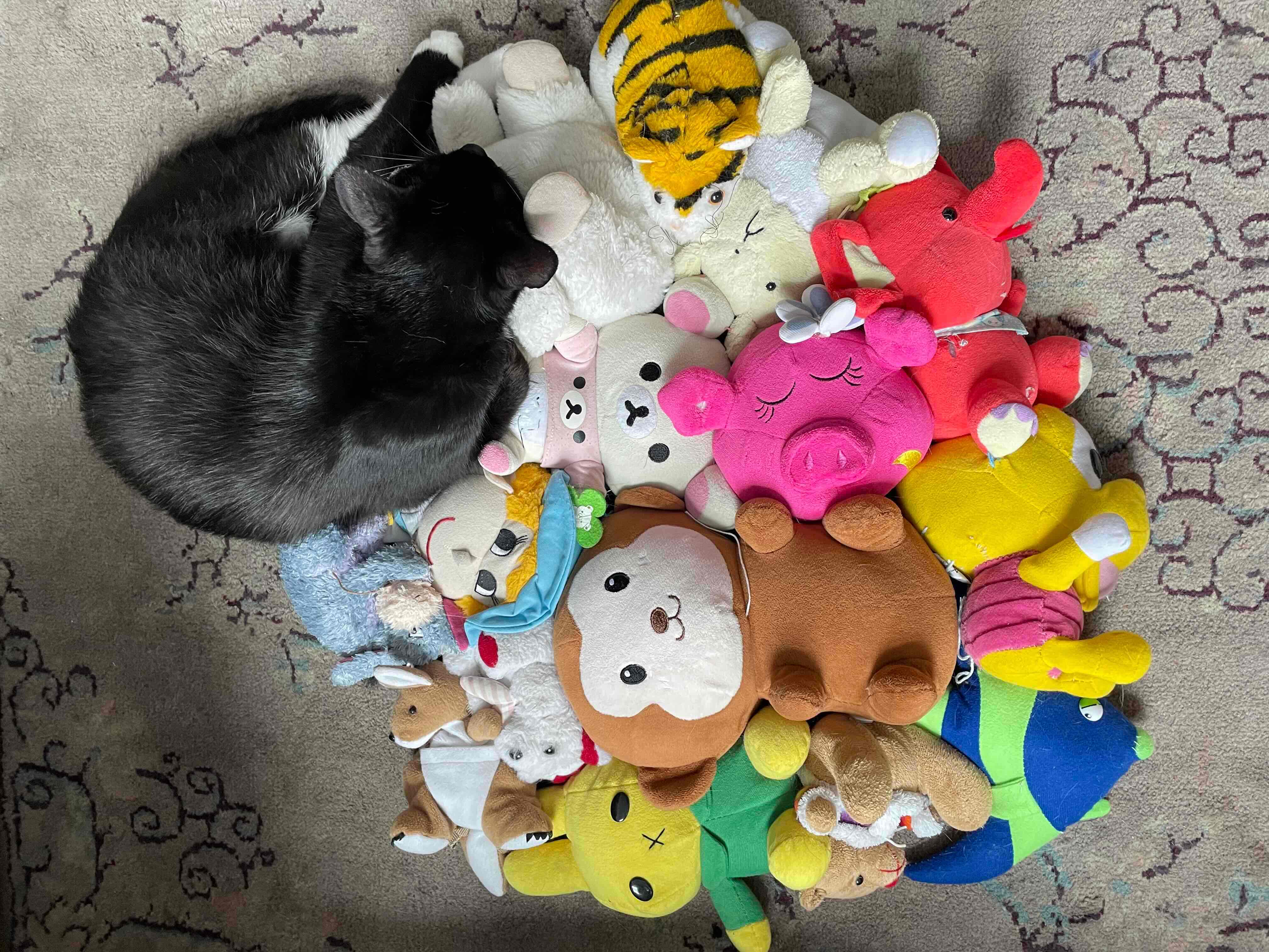 共享共创-青浦朱家角隐藏的艺术圈_1