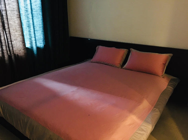 Beijing-Chaoyang-216 RMB / Day,👯‍♀️,Shared Apartment,Pet Friendly