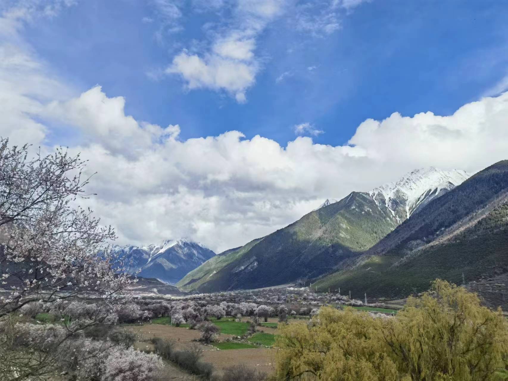 房东本人看房请联系