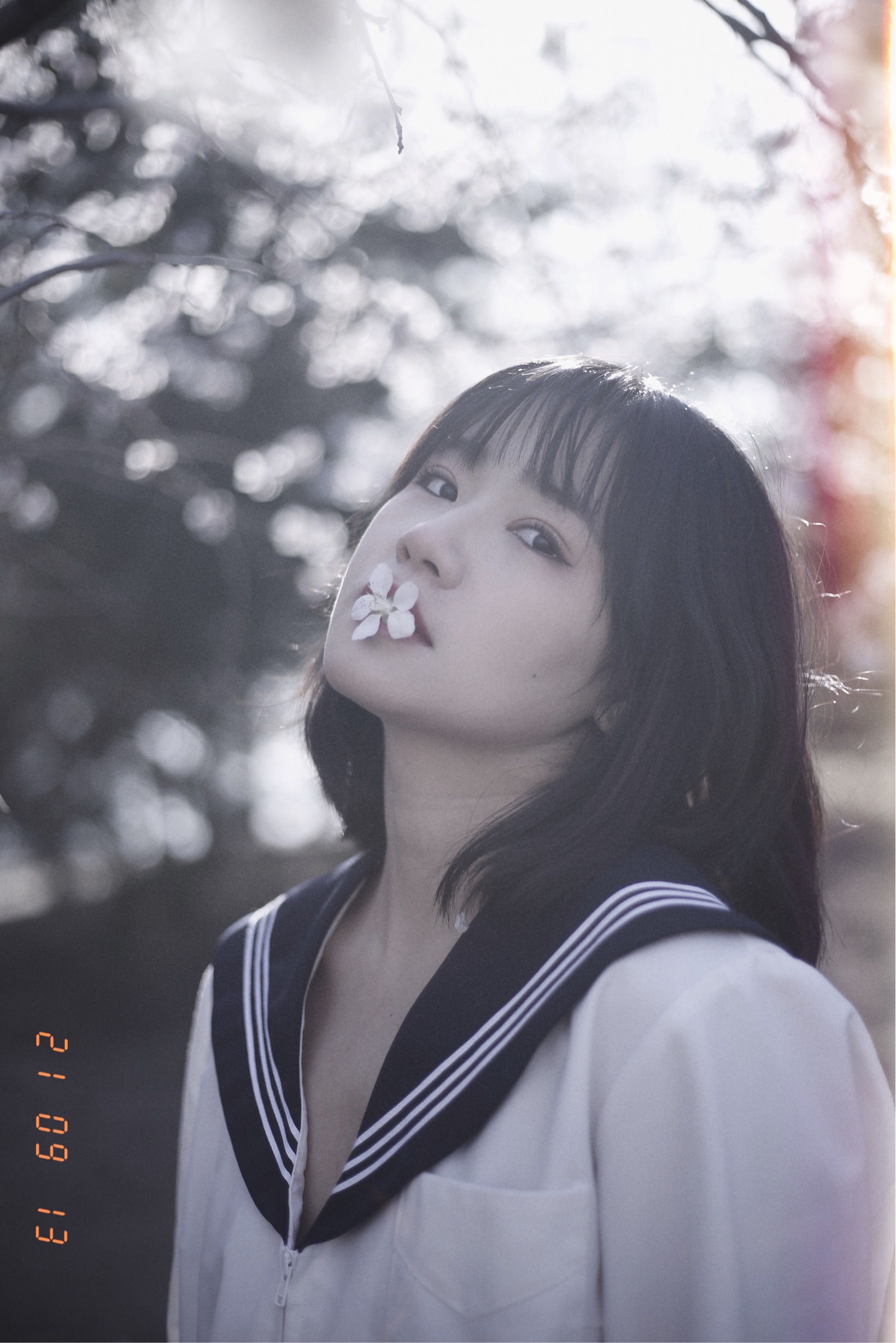 李