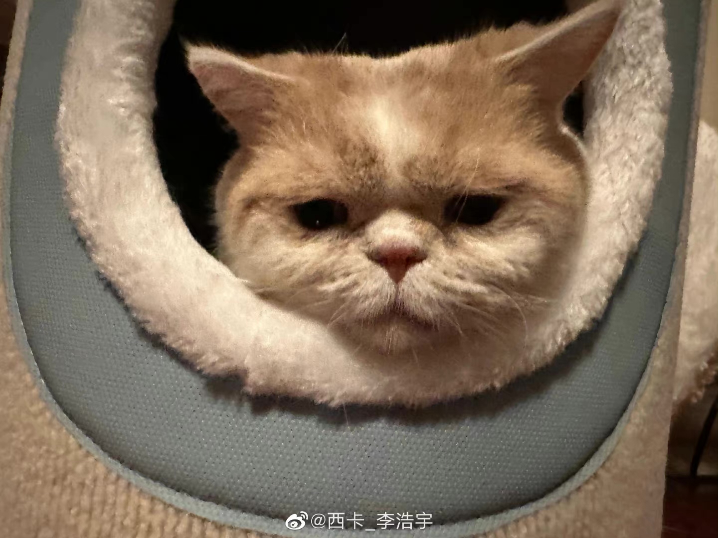 减➗