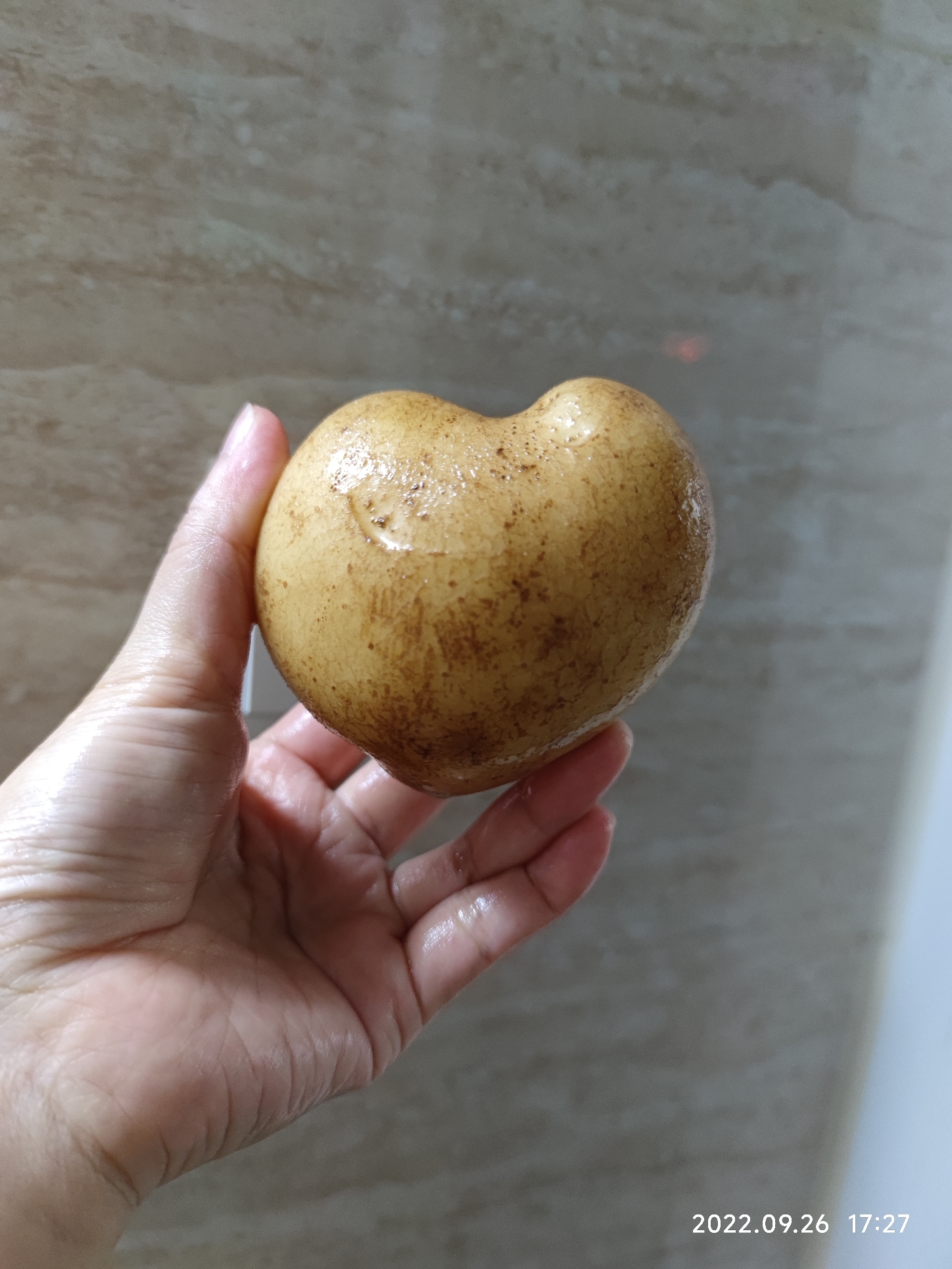 考拉