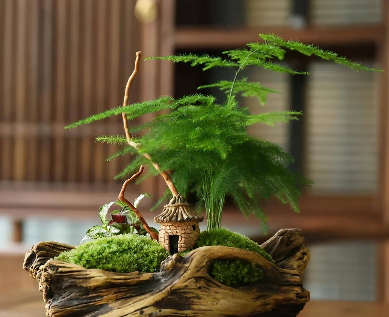 惠姐