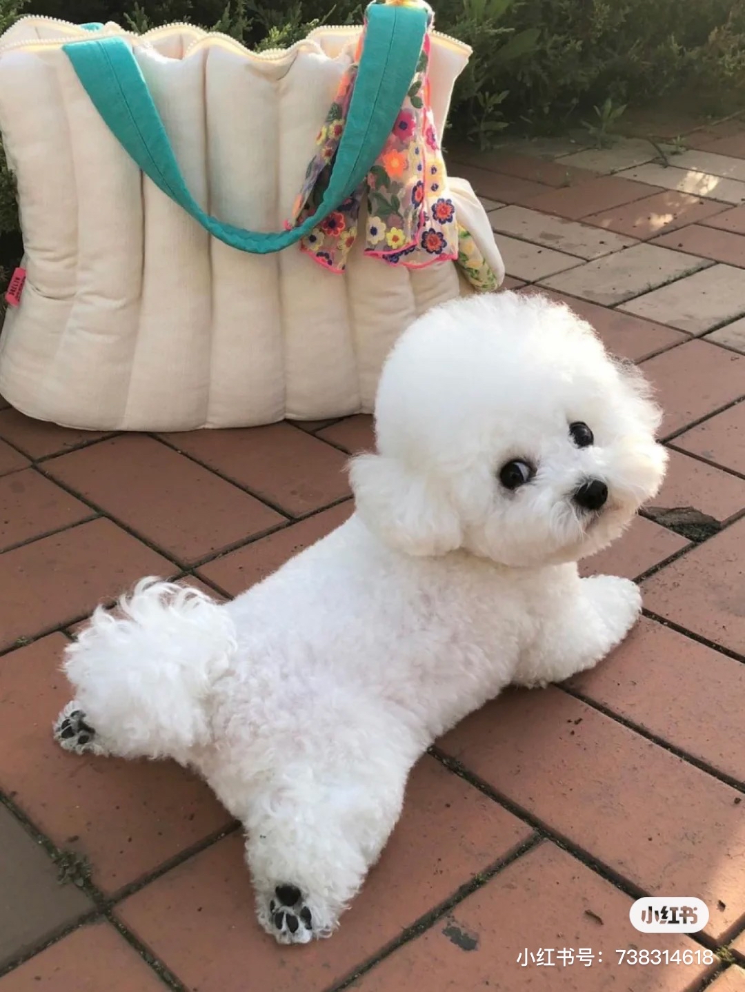 乐溪