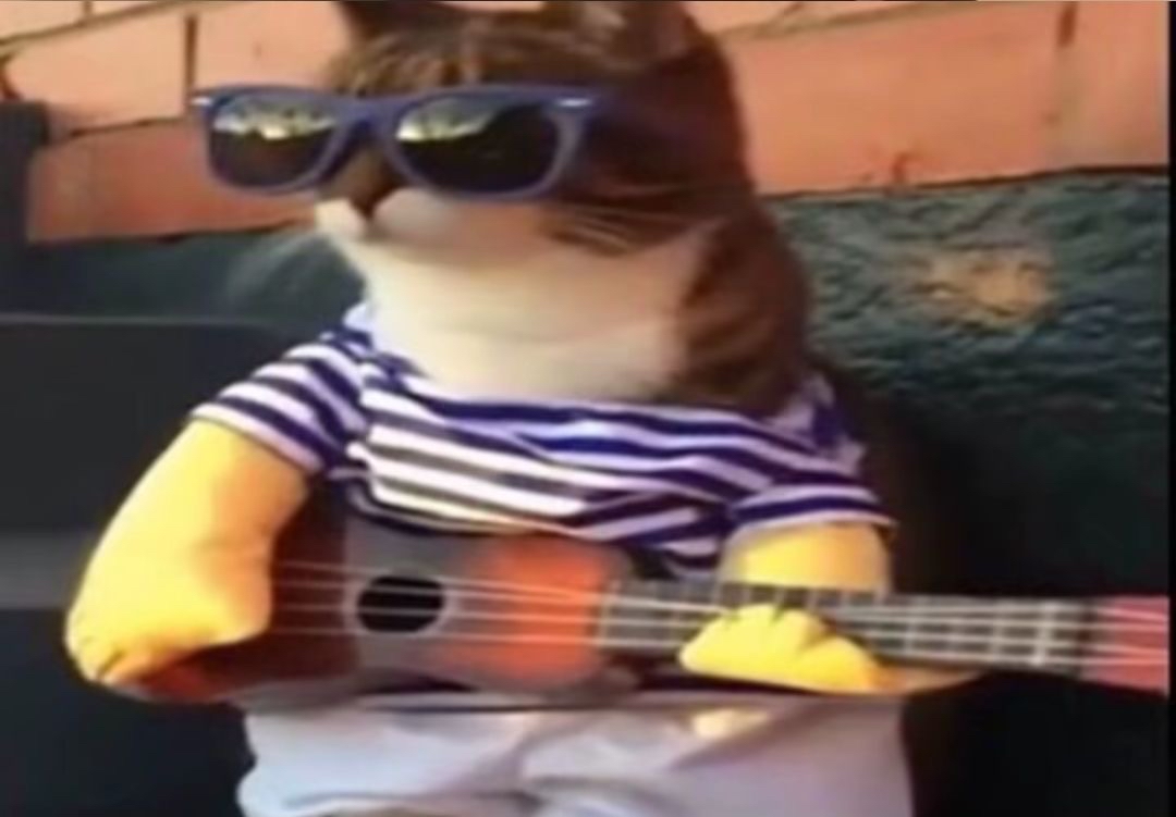 缄默保持晚自习杀手