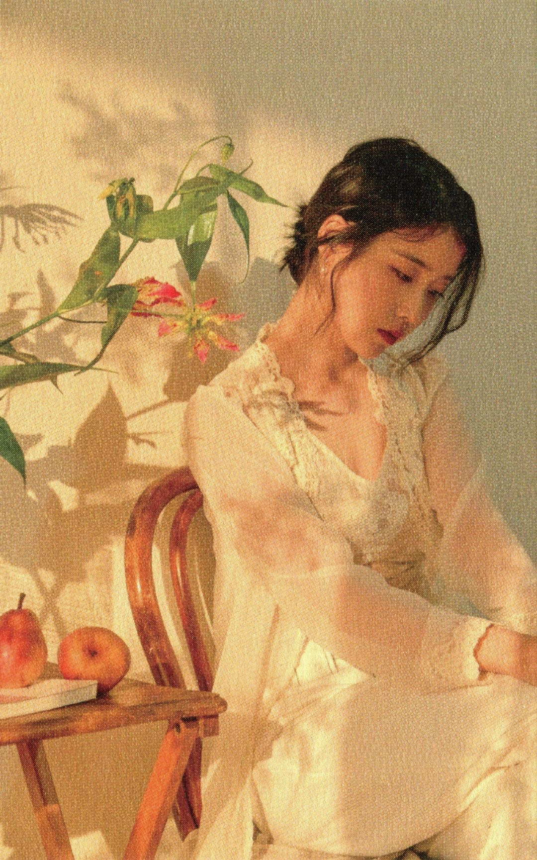 萌丹