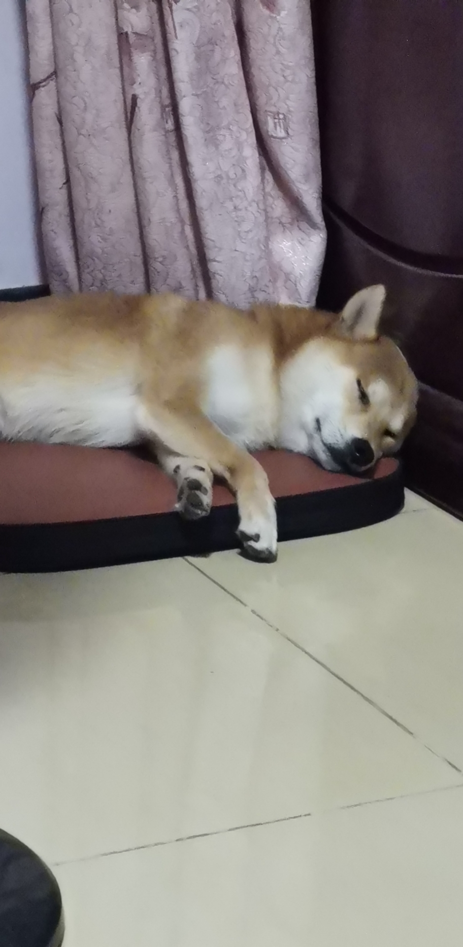 wyl