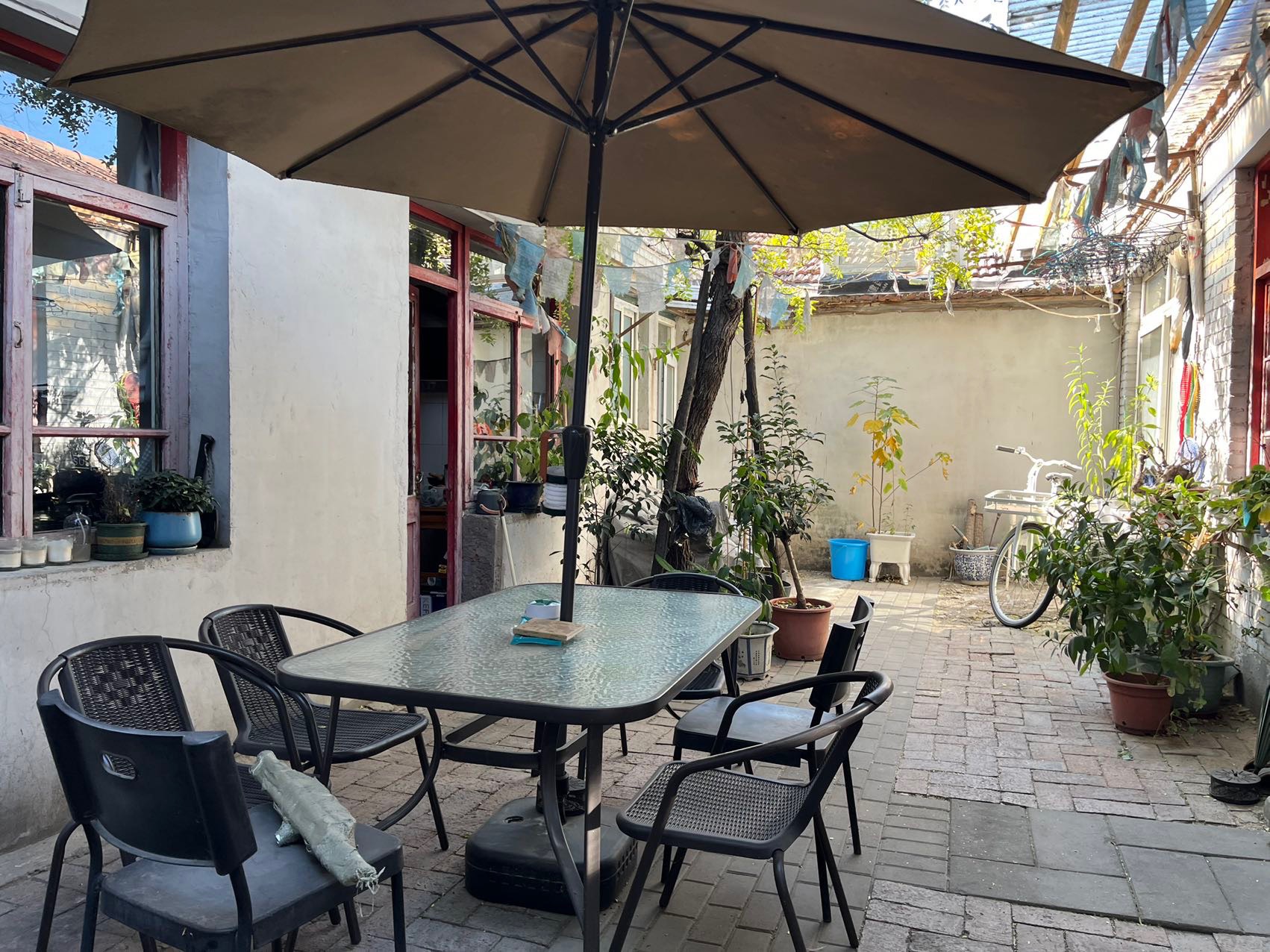 Beijing-Dongcheng-Cozy Home,Clean&Comfy,No Gender Limit,LGBTQ Friendly,Pet Friendly