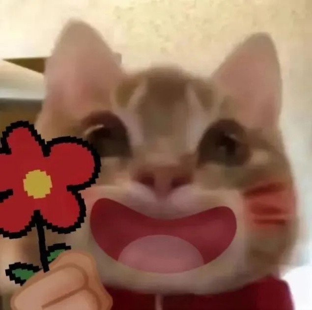 找室友