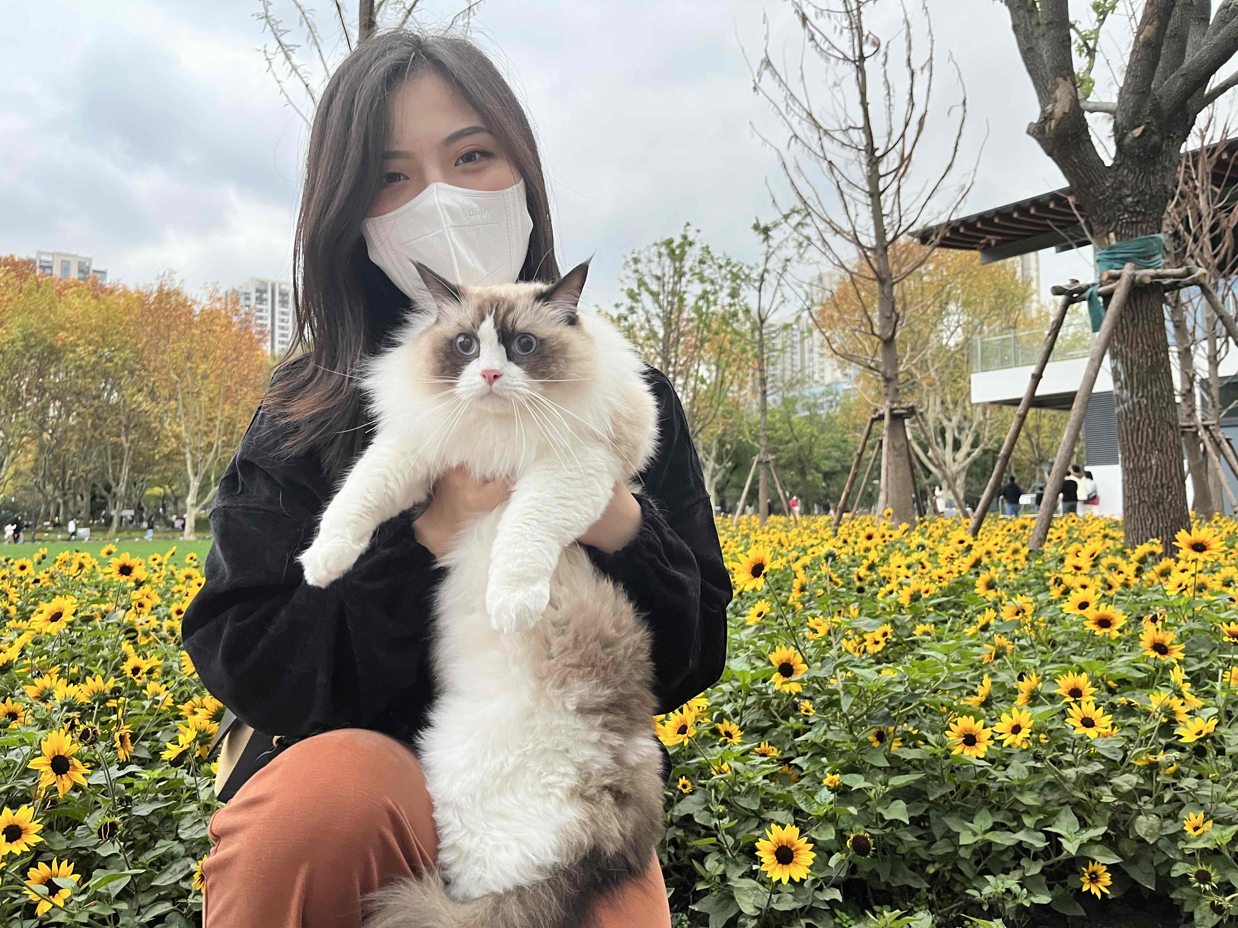 在出租我的房子